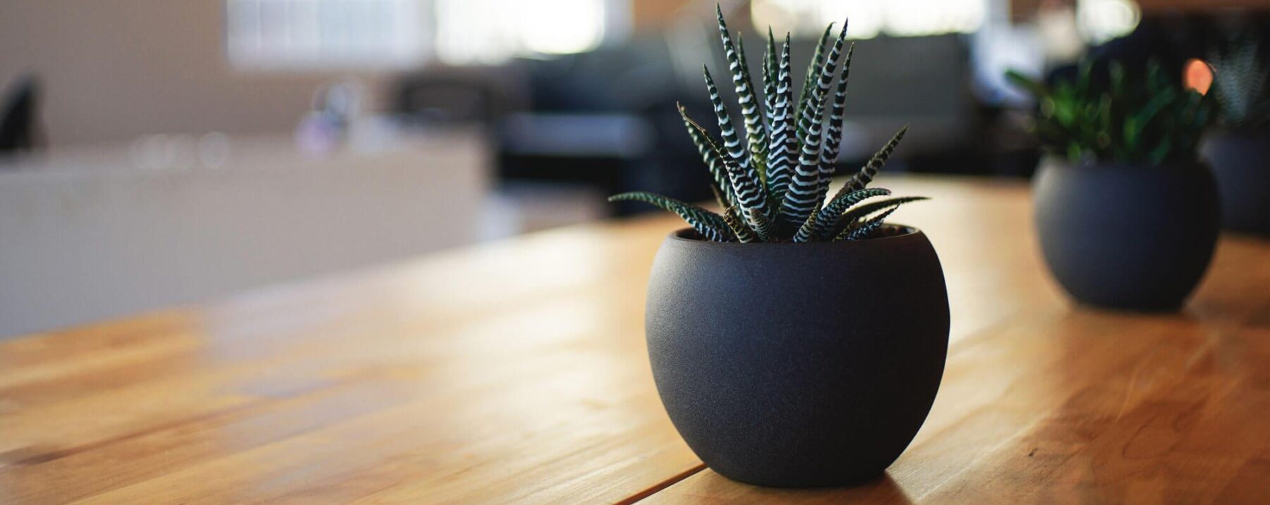 Nichols Family Chiropractic